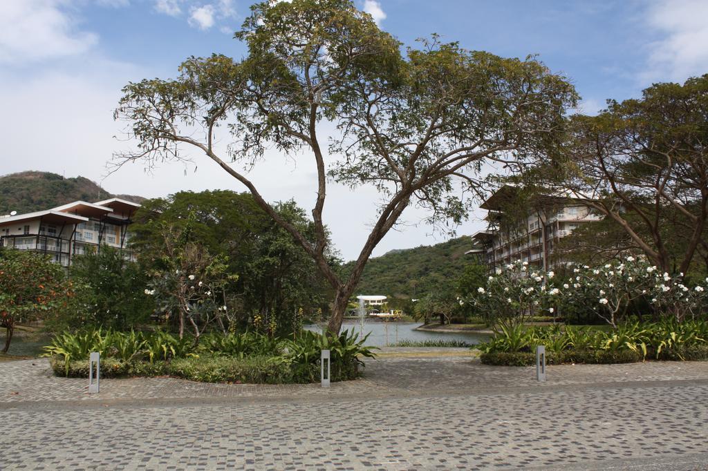 Unit 507 Pico De Loro Lejlighed Nasugbu Eksteriør billede